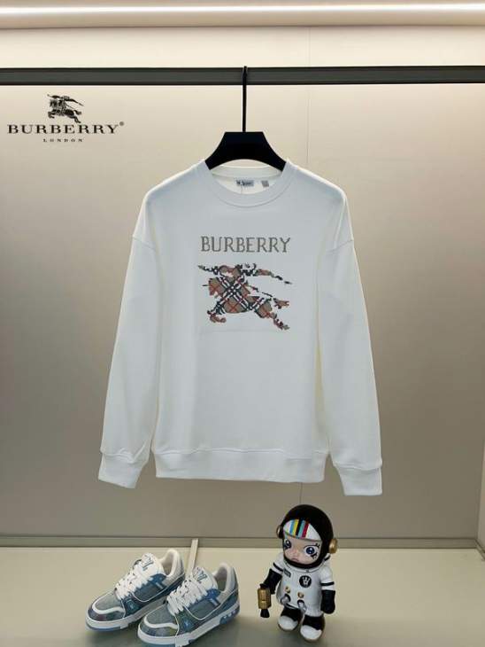 Picture of Burberry Sweatshirt _SKUBurberryXS-L24cr23131083